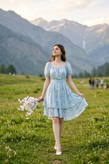 Women Floral Print Fit And Flare Dress