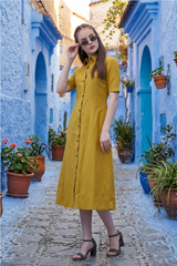 Solid Old Moss Green A-Line Shirt Dress