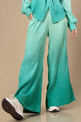 Ombre Pleated Ladies Bottom Wear